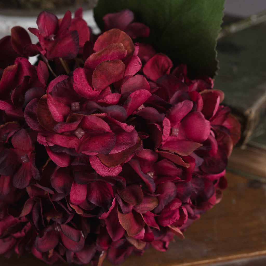 Close-up of overlapping magenta and wine-toned hydrangea petals, showing curled edges and small flower centres with green foliage behind.