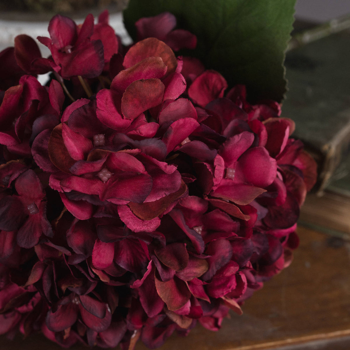 Close-up of overlapping magenta and wine-toned hydrangea petals, showing curled edges and small flower centres with green foliage behind.