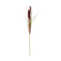 Full Ruby Plume artificial spray on white, with ruby plumes, arching multicoloured blades and a long ochre-brown lower stem.
