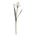 Full view of an artificial iris stem with a pale apricot ruffled flower and long narrow green leaves against white.