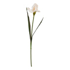 Full view of an artificial iris stem with a pale apricot ruffled flower and long narrow green leaves against white.