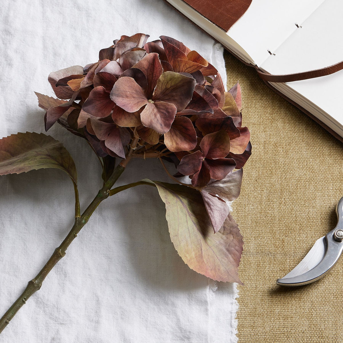 Close-up of overlapping muted russet florets and veined leaves, laid on white cloth beside an open notebook and part of a pair of secateurs.