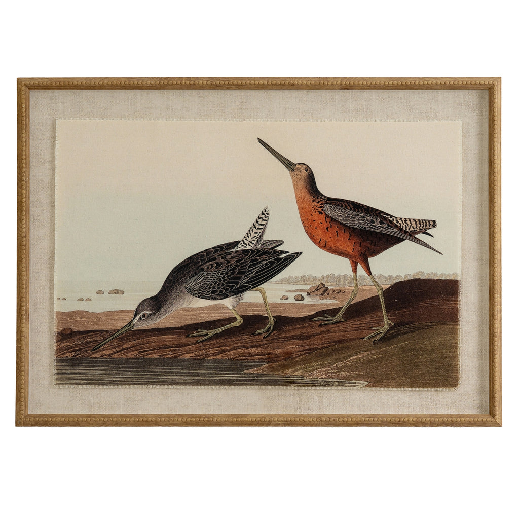 Front view of the Rust & Grey Waders Framed Print, showing two long-billed birds on a shoreline within a pale surround and tan-gold beaded frame.