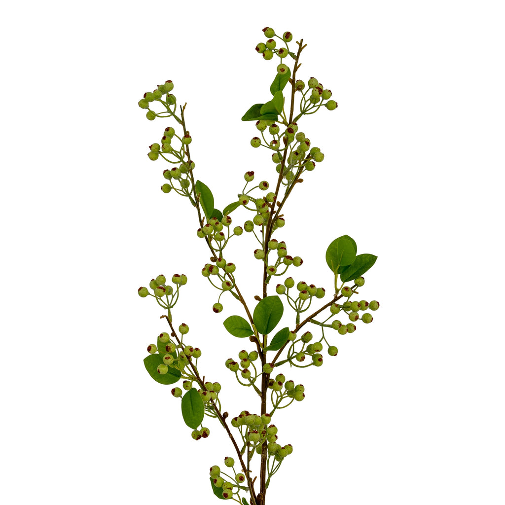 Closer view of the spray's branching upper section, showing pale-green berries with rust-brown tips among oval green leaves.