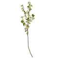 Full view of the Rusttip Greenberry artificial botanical spray, with a long brown stem, branching berry clusters and scattered green leaves against white.