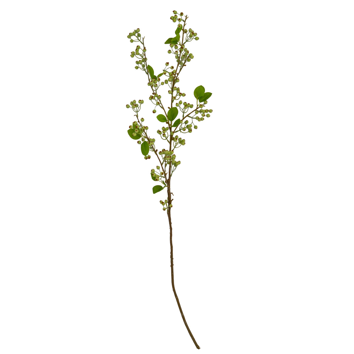 Full view of the Rusttip Greenberry artificial botanical spray, with a long brown stem, branching berry clusters and scattered green leaves against white.
