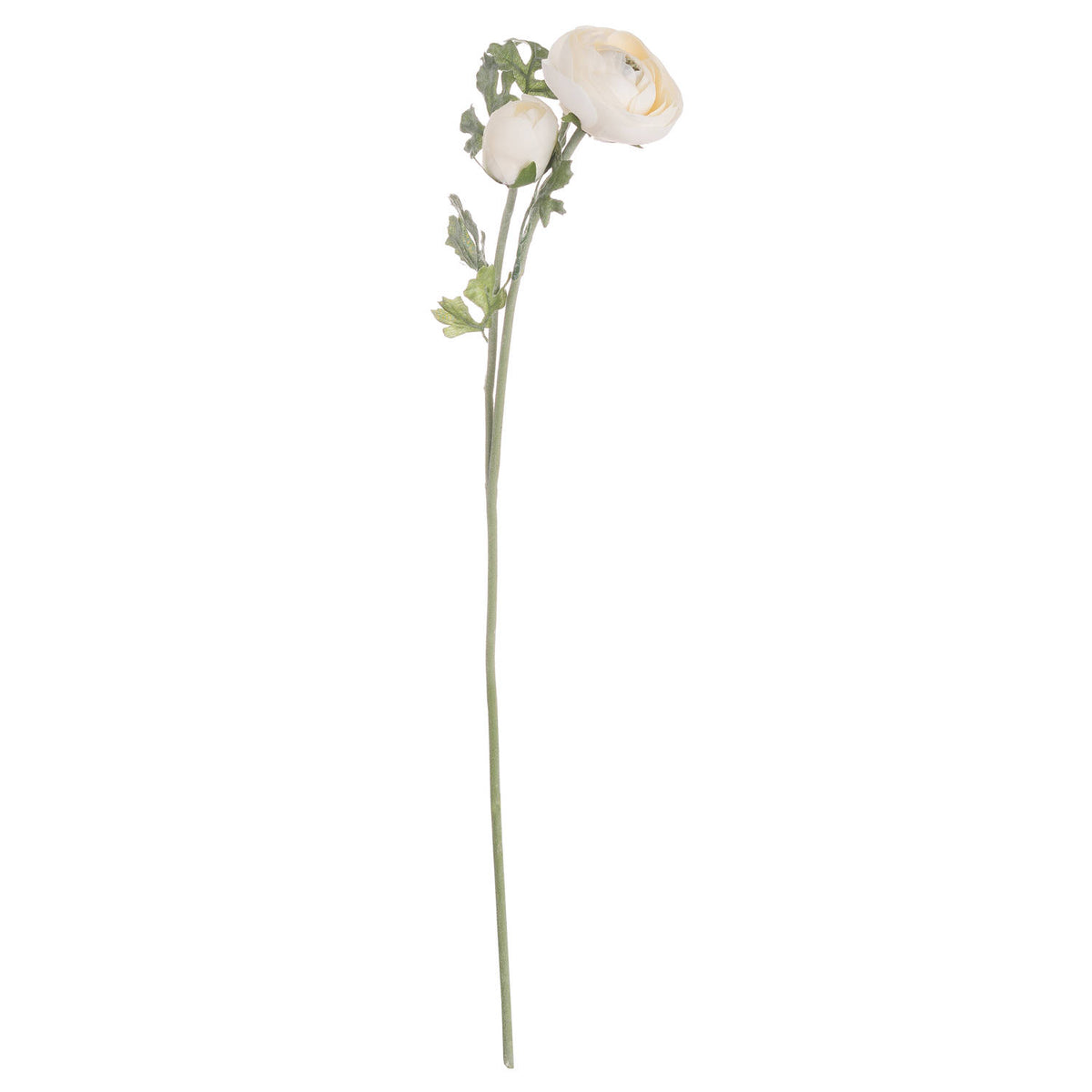 Artificial ranunculus stem on a white background, with an open layered cream flower, a closed cream bud and sage-green lobed leaves along slender green stems.