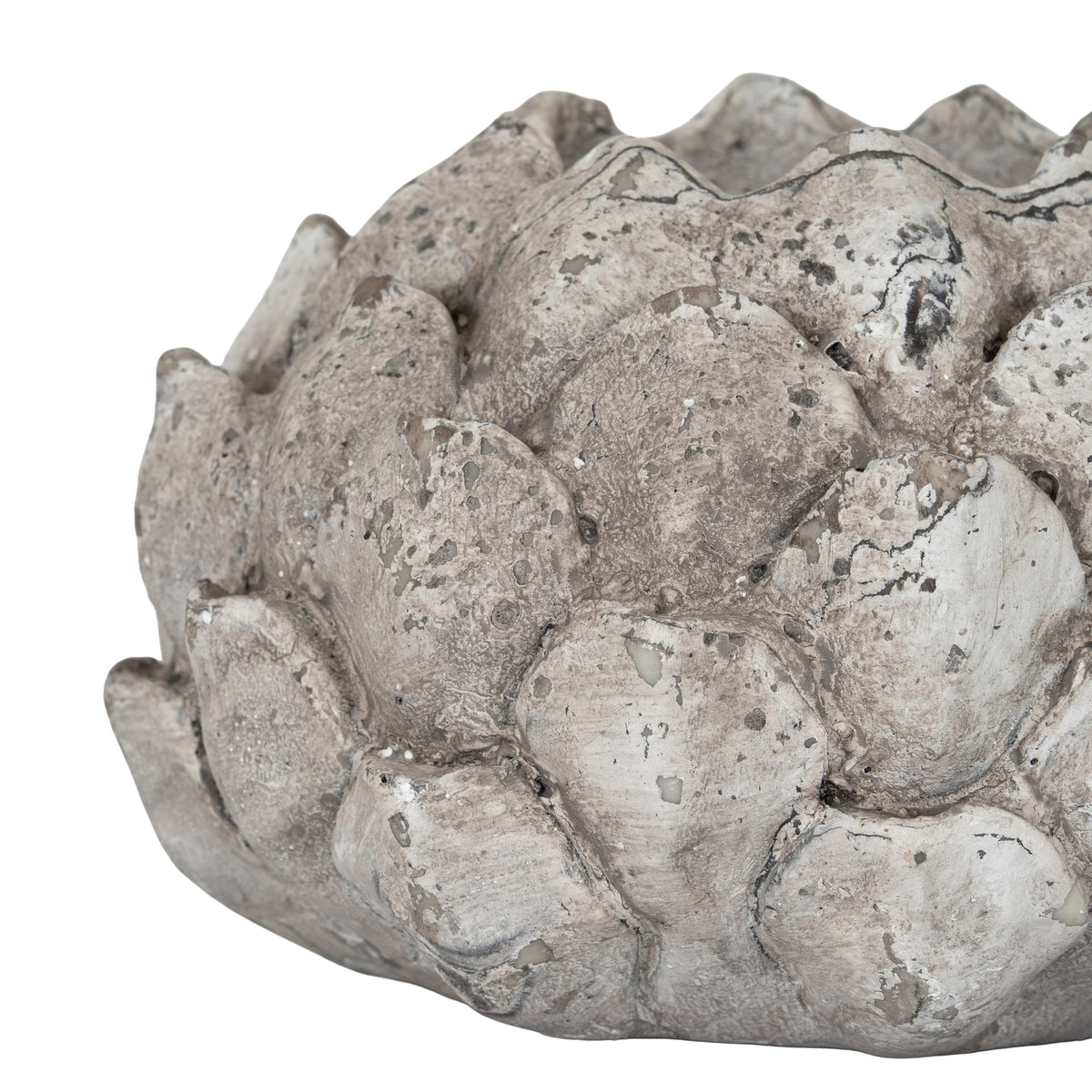 Side detail of the Scale Bud holder showing overlapping scales, pale mottling and dark lines across the textured surface.