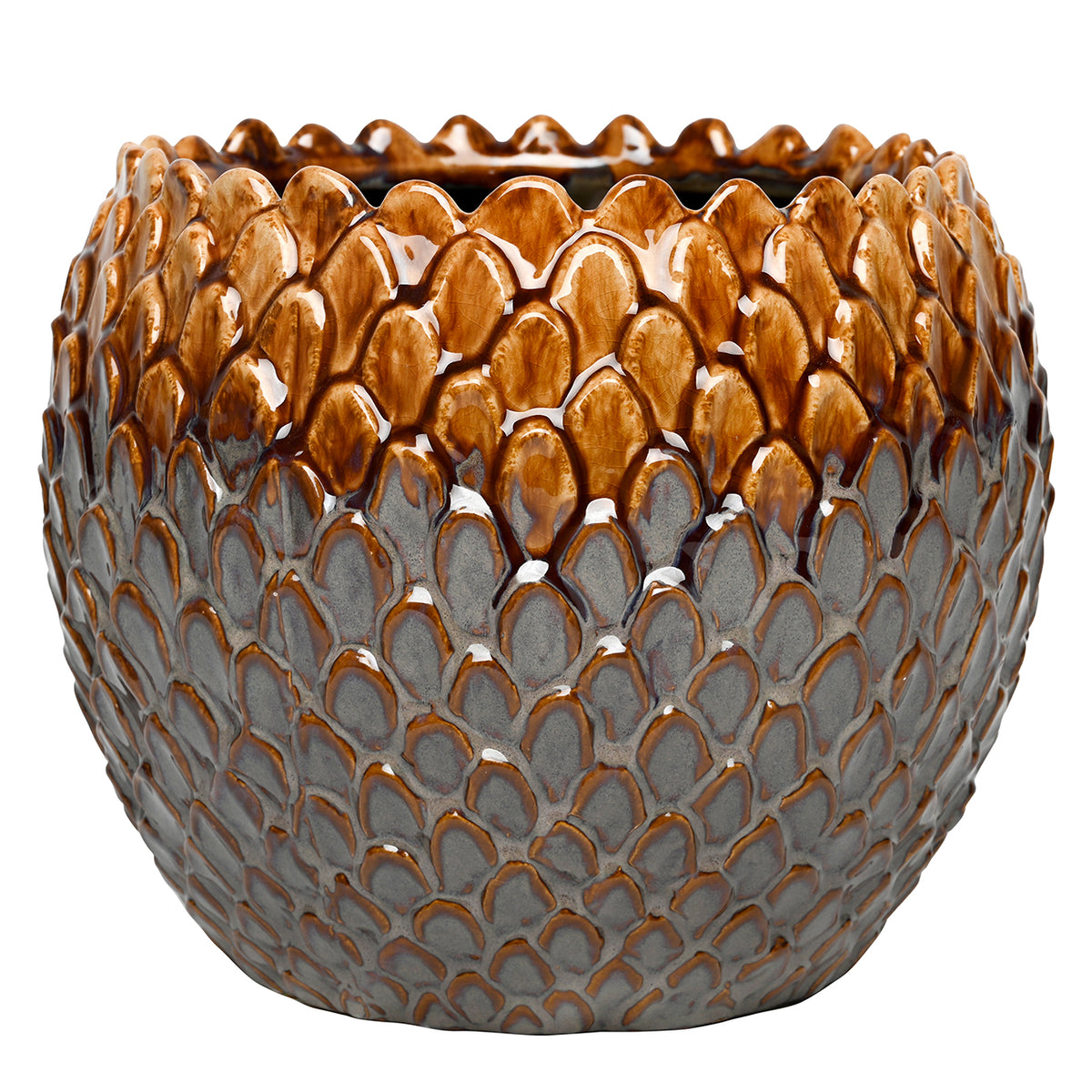 Front view of the rounded planter with raised scales, an amber-brown upper section and charcoal grey lower body.