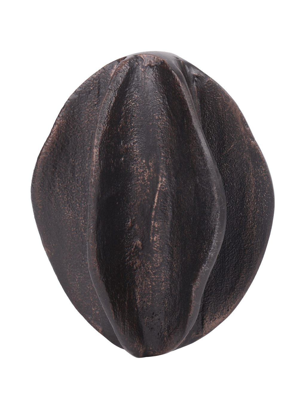 Seed pod sculpture viewed upright, showing overlapping curved ridges in textured black with bronze-toned highlights.