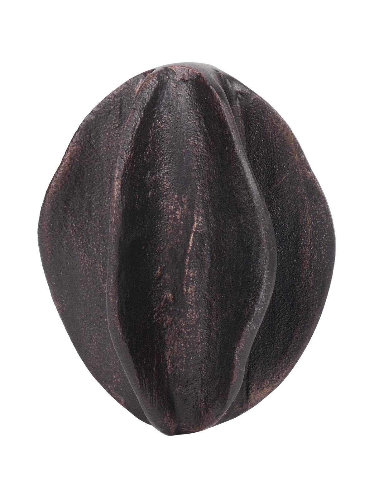 Seed pod sculpture viewed upright, showing overlapping curved ridges in textured black with bronze-toned highlights.