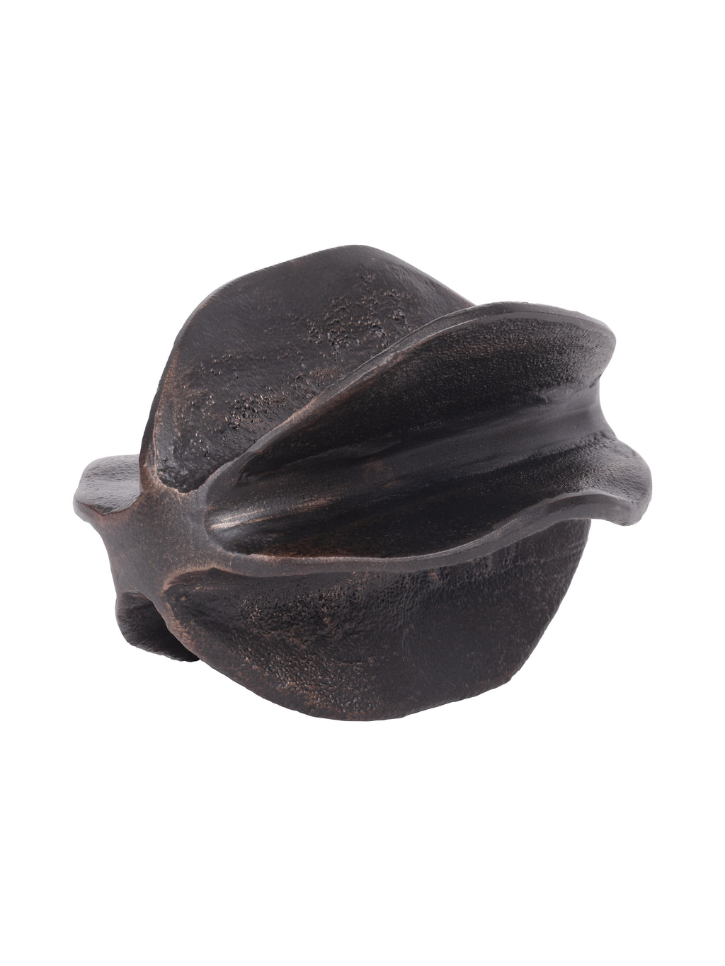 Seed pod sculpture shown on its side against white, with broad curved fins and deep channels between them.