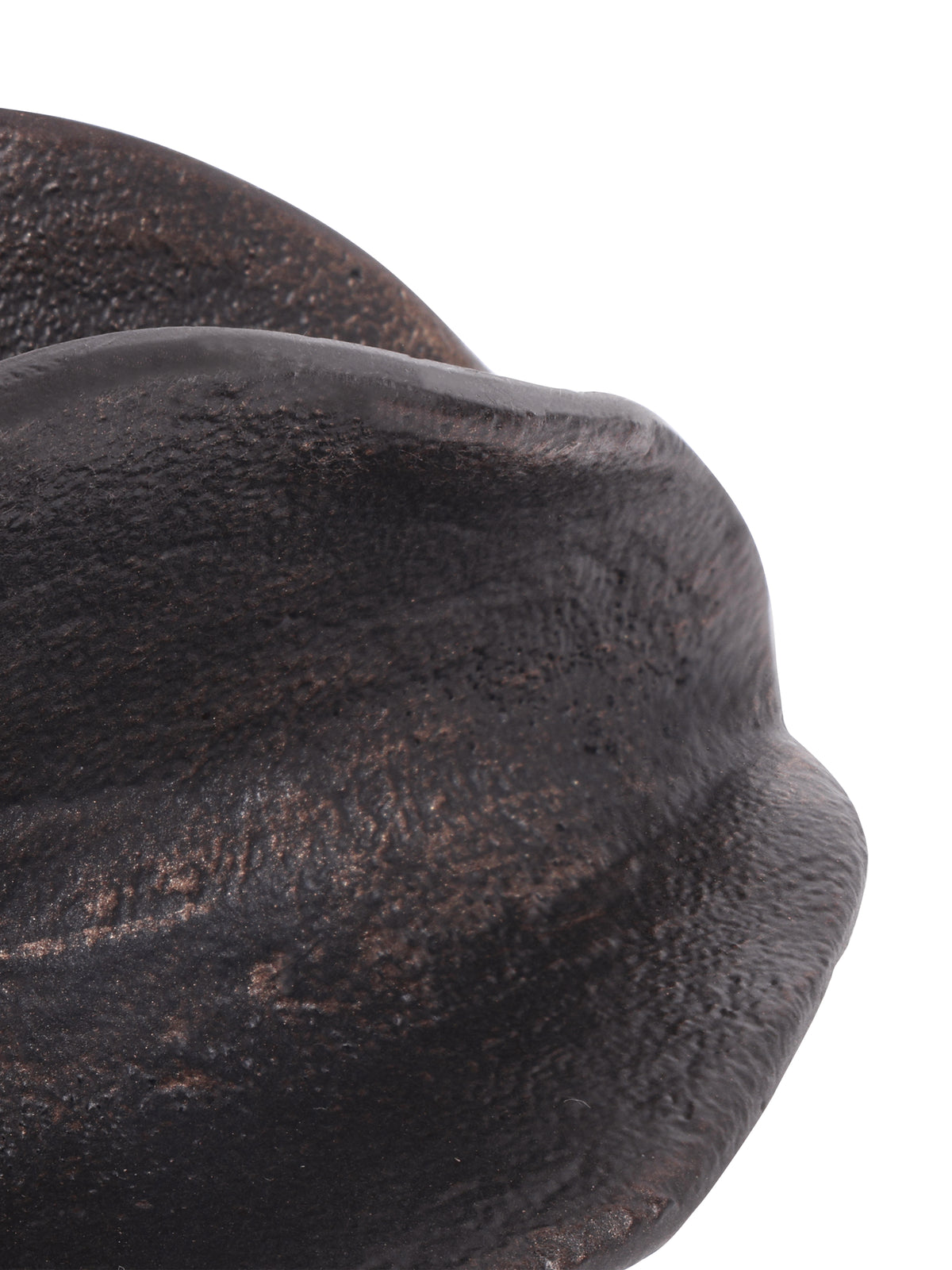 Close-up of a rounded ridge on the seed pod sculpture, showing the rough black surface and scattered bronze tones.