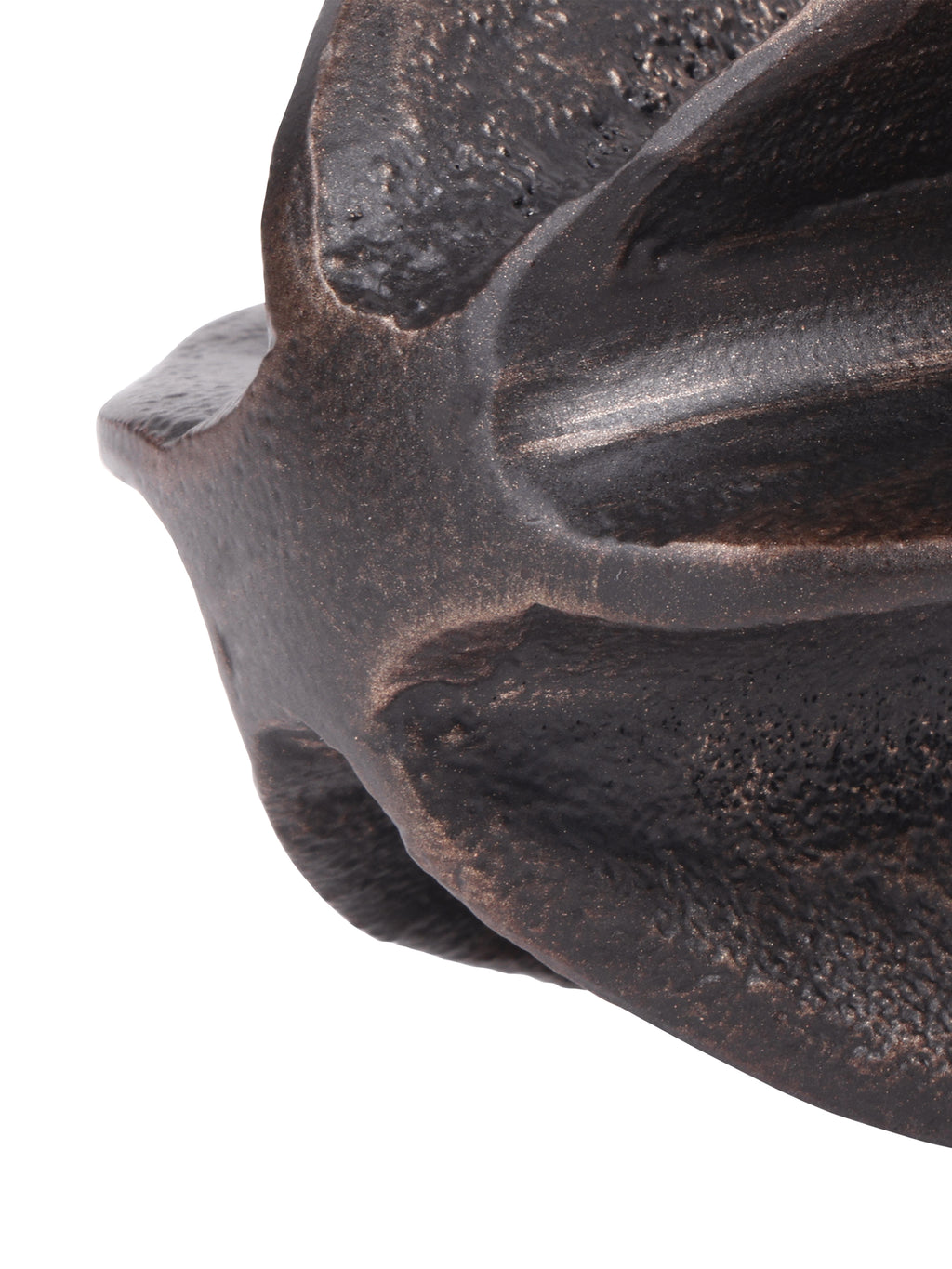 Close-up where the seed pod sculpture's curved ridges meet, with bronze-toned highlights along the dark edges.