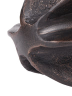 Close-up where the seed pod sculpture's curved ridges meet, with bronze-toned highlights along the dark edges.