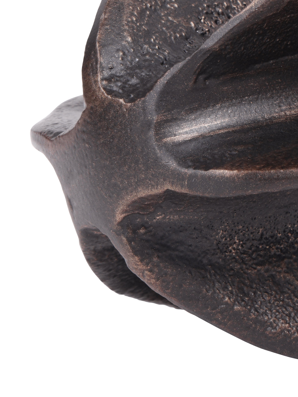 Close-up where the seed pod sculpture's curved ridges meet, with bronze-toned highlights along the dark edges.