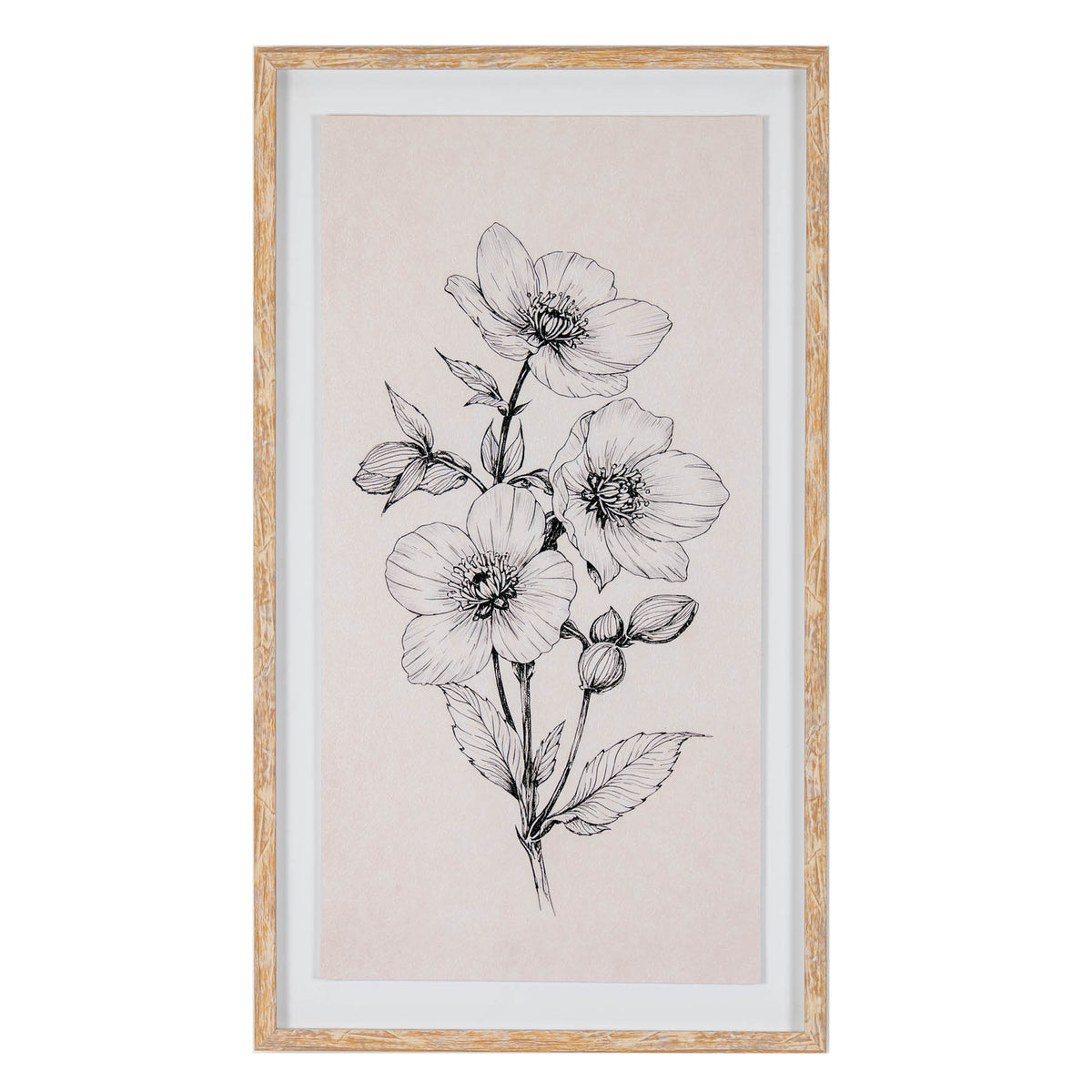 Front view of tall framed botanical artwork showing three open flowers, buds and serrated leaves in black linework on pale pink-cream, with a white inner border and streaked golden-brown frame.
