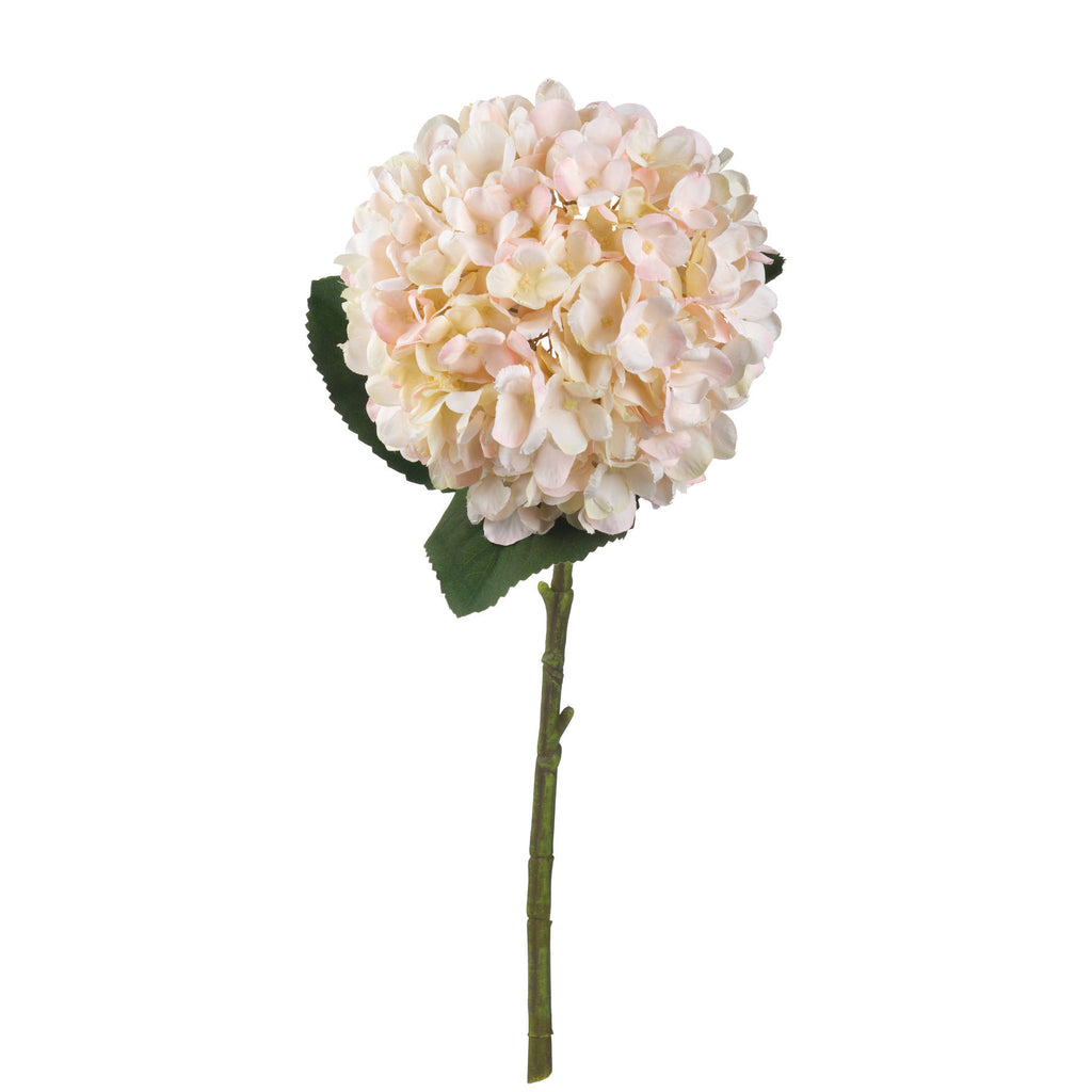 Full view of an artificial hydrangea stem with a rounded cream and blush flower head, broad green leaves and a long green stem against white.