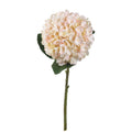 Full view of an artificial hydrangea stem with a rounded cream and blush flower head, broad green leaves and a long green stem against white.