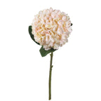 Full view of an artificial hydrangea stem with a rounded cream and blush flower head, broad green leaves and a long green stem against white.