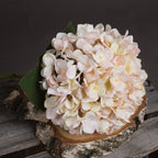 Close-up of overlapping cream, pale peach and blush hydrangea florets with yellow centres, resting on a bark-edged wood slice over grey wooden slats.