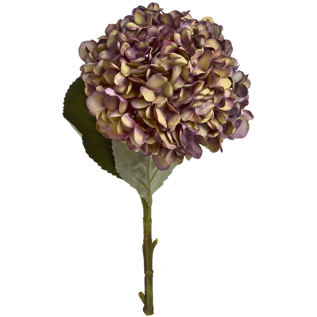 Artificial hydrangea stem on a white background, with a rounded burgundy, mauve, cream and muted green flower head above broad leaves and a green stem.