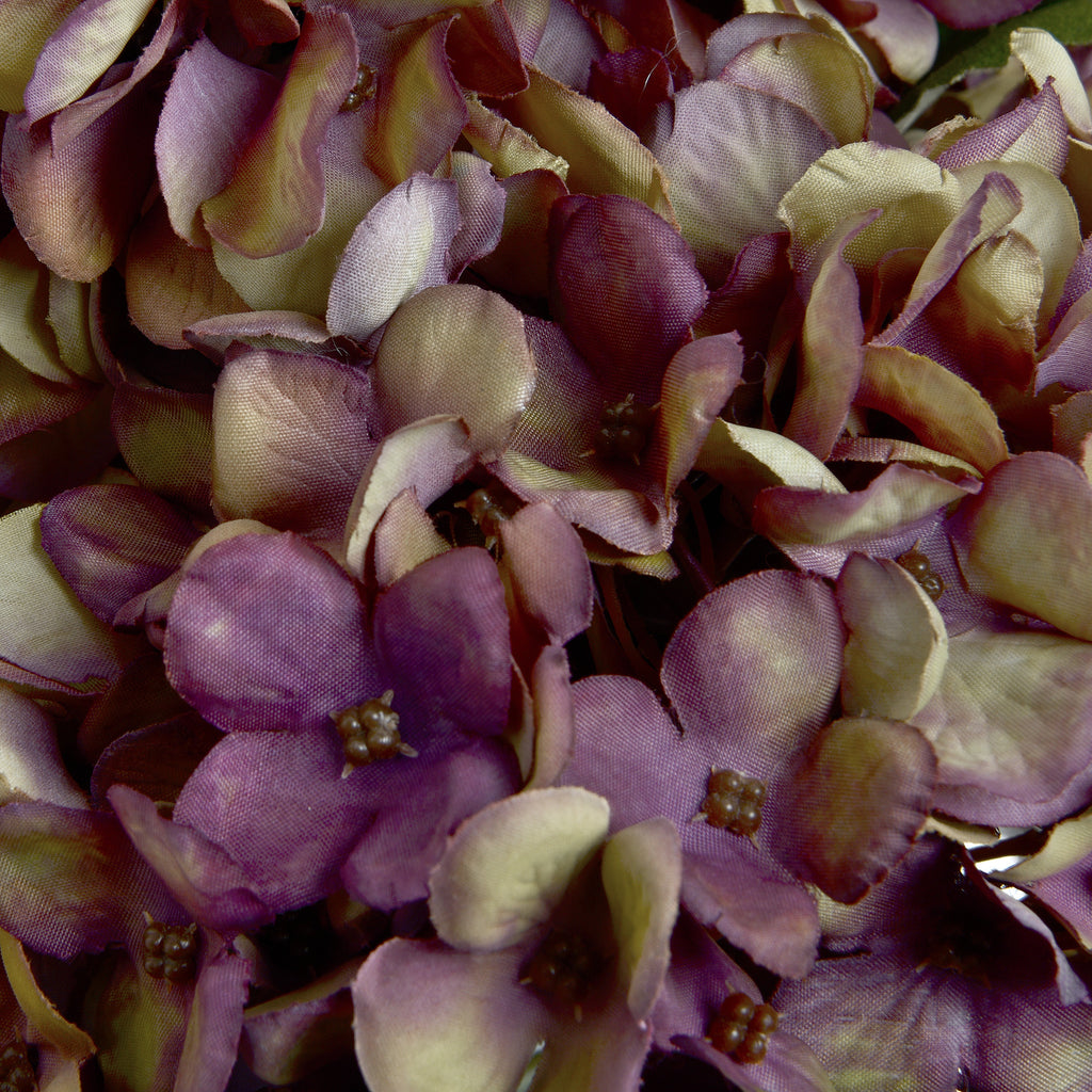 Close-up of overlapping hydrangea petals with burgundy and mauve shading, pale cream patches, fine surface texture and small brown flower centres.