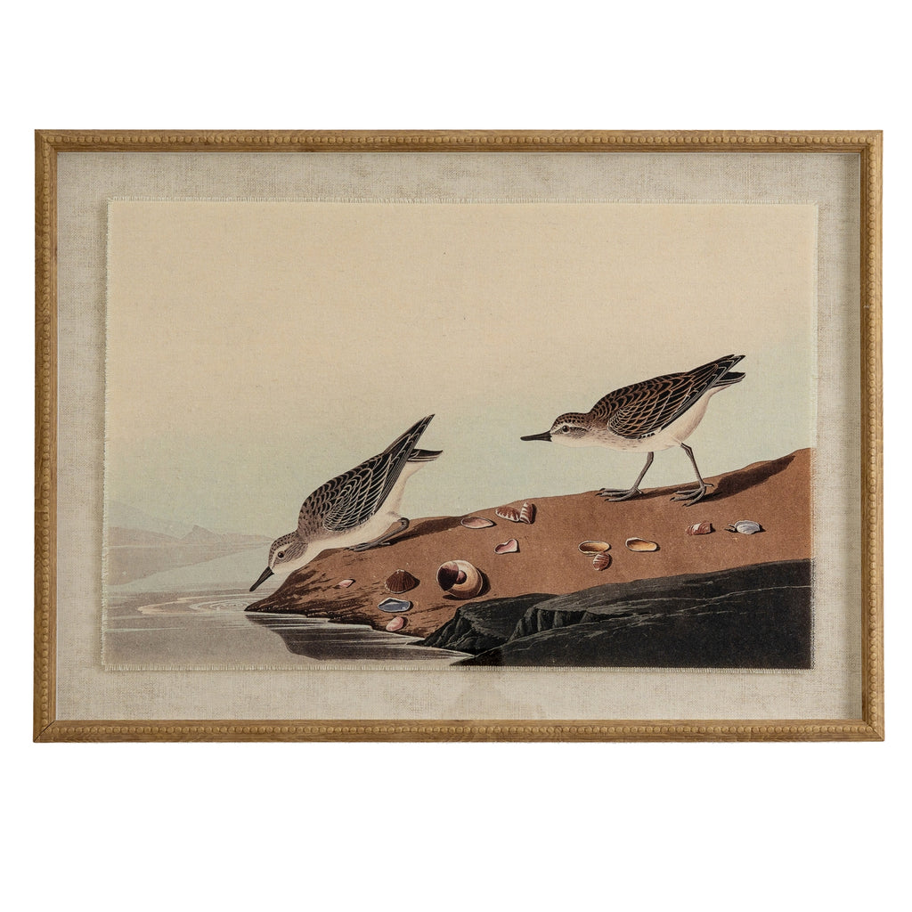 Front view of the Shellbank Shorebirds Framed Print, showing two birds on a shell-strewn bank beside water, within a pale surround and tan-gold beaded frame.