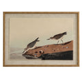 Front view of the Shellbank Shorebirds Framed Print, showing two birds on a shell-strewn bank beside water, within a pale surround and tan-gold beaded frame.