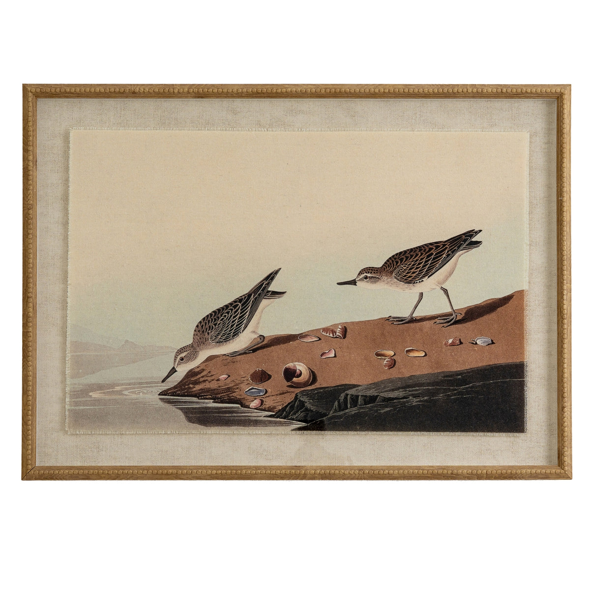 Front view of the Shellbank Shorebirds Framed Print, showing two birds on a shell-strewn bank beside water, within a pale surround and tan-gold beaded frame.
