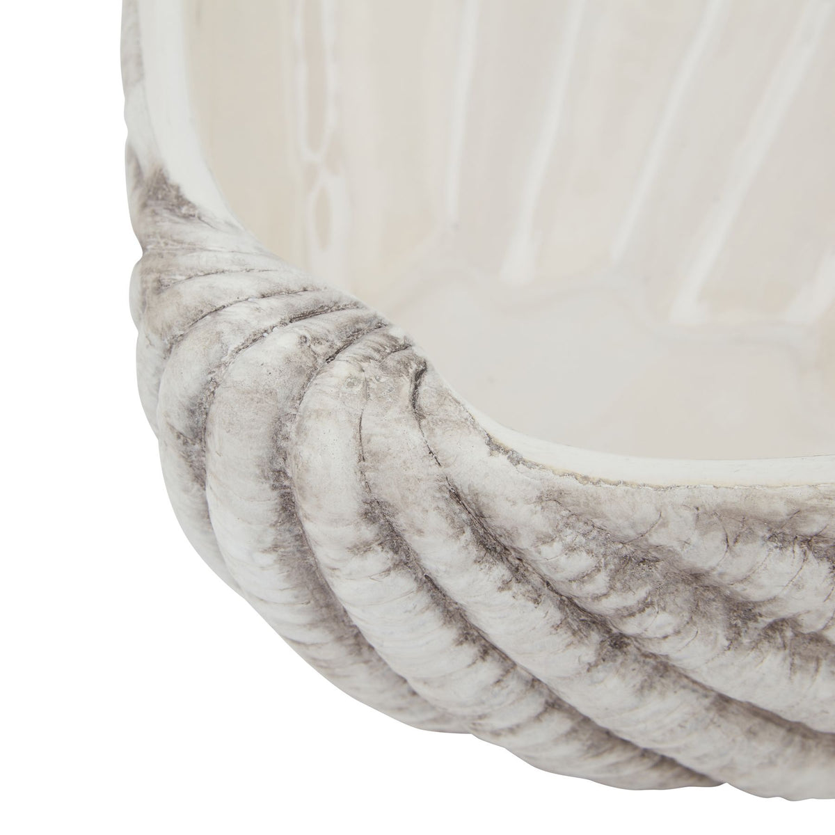 Detail of the planter's curved rim and radiating exterior ribs beneath the cream-white inner bowl.