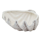 Shellpeak Planter shown at an angle, with a cream-white interior and grey-and-white ribbed shell exterior.