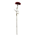 Full view of a burgundy artificial flower with a ruffled head, slender green-brown stem and narrow pointed leaves against white.