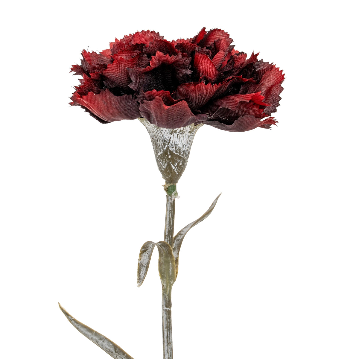 Close view of the ruffled burgundy flower head above its tapered calyx, showing the upper stem and curled pointed leaves.