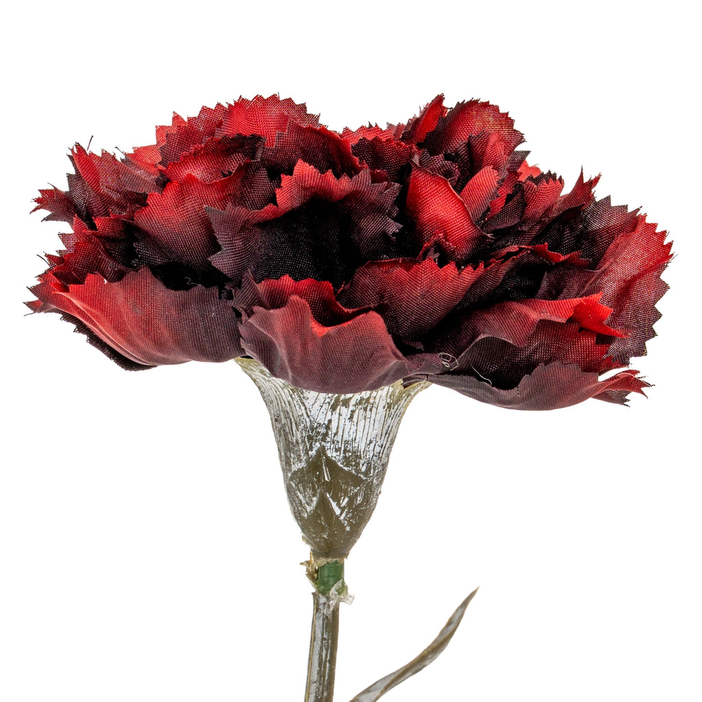 Tight detail of the burgundy flower head, showing overlapping red and dark burgundy ruffles with finely serrated edges above the calyx.