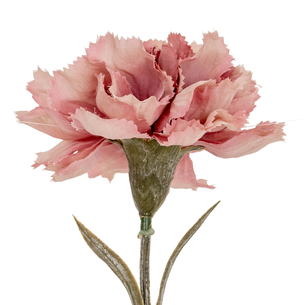Tight detail of layered pink petals with irregular edges above the textured green calyx.
