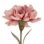 Tight detail of layered pink petals with irregular edges above the textured green calyx.
