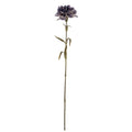 Full view of a purple artificial flower with a ruffled head, long green-brown stem and narrow curved leaves against white.