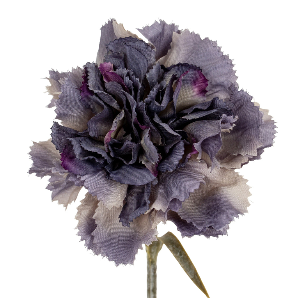 Flower head detail showing densely layered purple petals, pale edges and small areas of deeper violet around the centre.