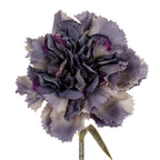 Flower head detail showing densely layered purple petals, pale edges and small areas of deeper violet around the centre.