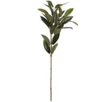 Full view of the Smooth Bay artificial spray with a bare brown-green lower stem and branching clusters of pointed green leaves against white.