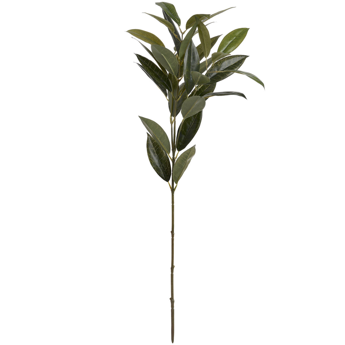 Full view of the Smooth Bay artificial spray with a bare brown-green lower stem and branching clusters of pointed green leaves against white.