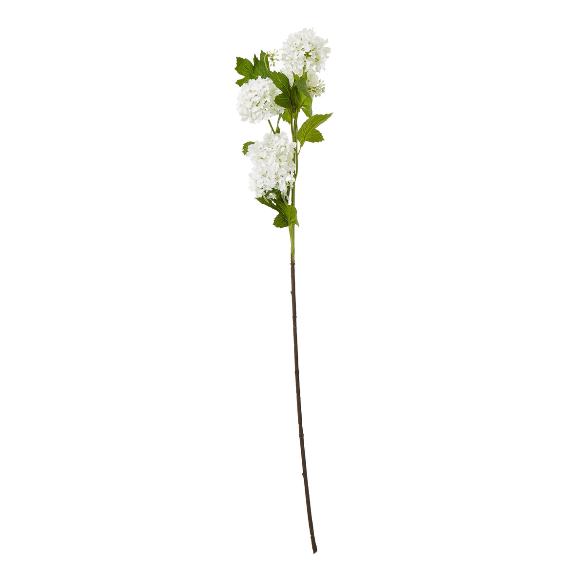 Full-length cream artificial viburnum spray with clustered flowers, green leaves and a long brown stem on white.