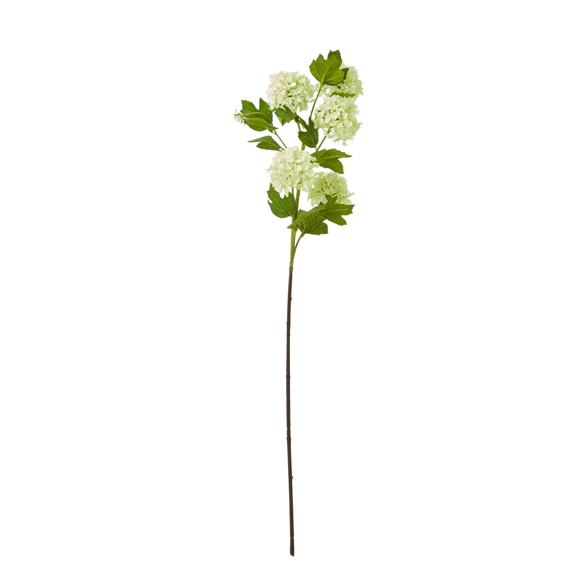 Full-length artificial viburnum spray with pale green snowball flowers, green leaves and a long brown stem against white.