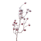 Close-up of rounded red berries with uneven granular white coating on fine brown twigs.