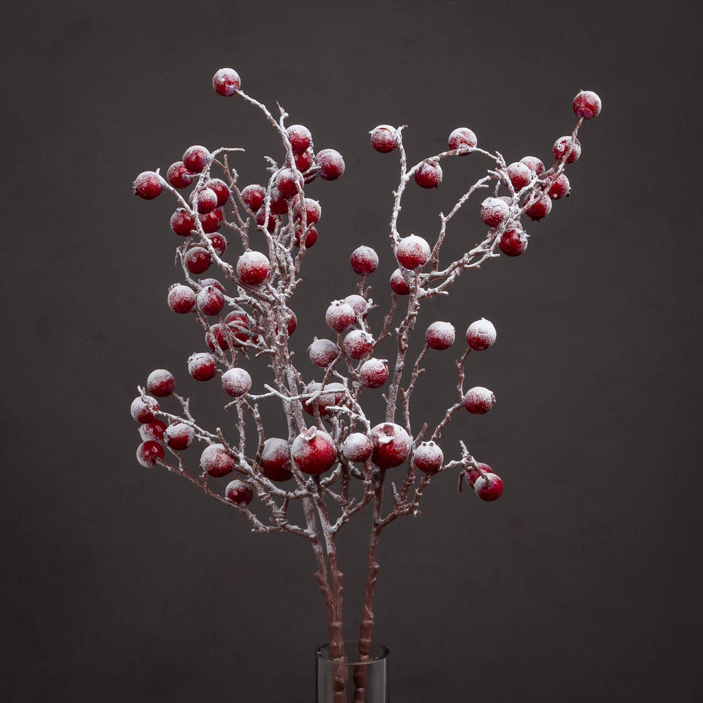 Several snow-dusted red berry branches arranged in a dark cylindrical vase against a charcoal background.