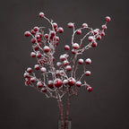 Several snow-dusted red berry branches arranged in a dark cylindrical vase against a charcoal background.