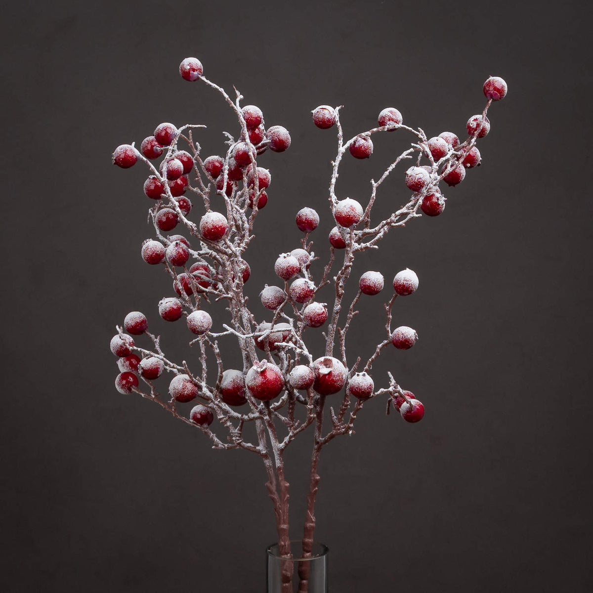 Several snow-dusted red berry branches arranged in a dark cylindrical vase against a charcoal background.