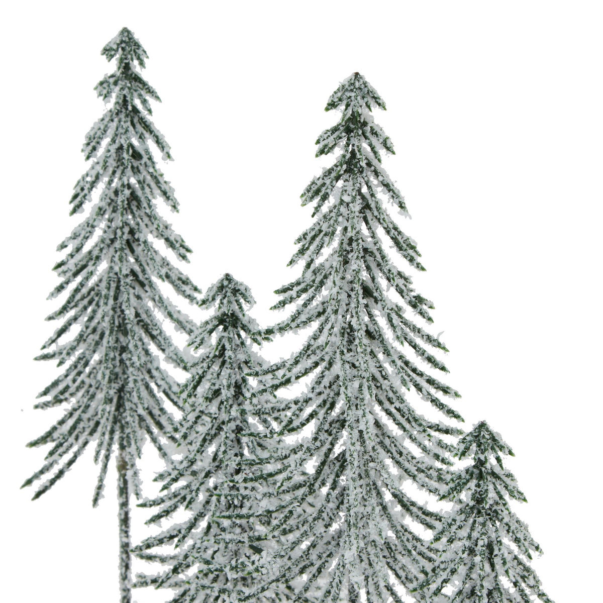 Close-up of the tree tops and layered downward-sweeping green branches covered with an irregular white snow-like coating.