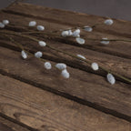 Close-up of pale grey, fuzzy-looking catkins along brown-green twigs laid across a rustic wooden surface.